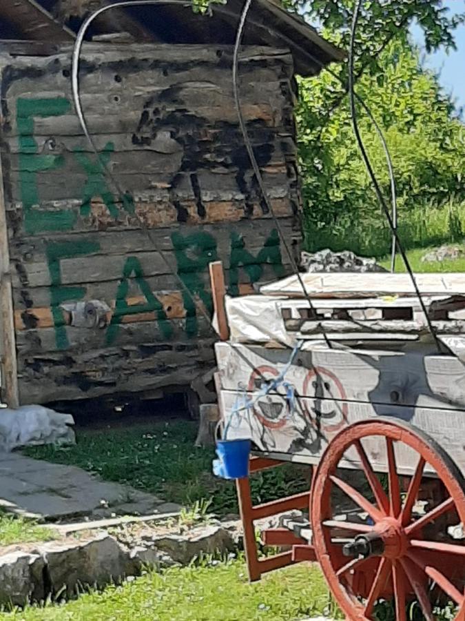 Ranch Farm Stay ラコヴィツァ エクステリア 写真