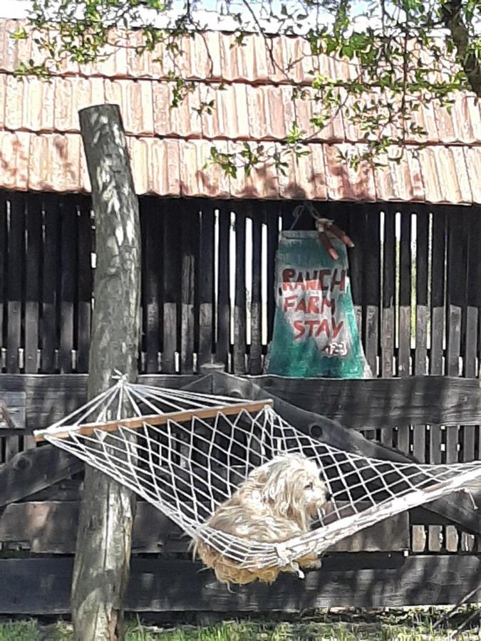 Ranch Farm Stay ラコヴィツァ エクステリア 写真